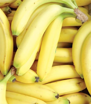 Valor Nutricional